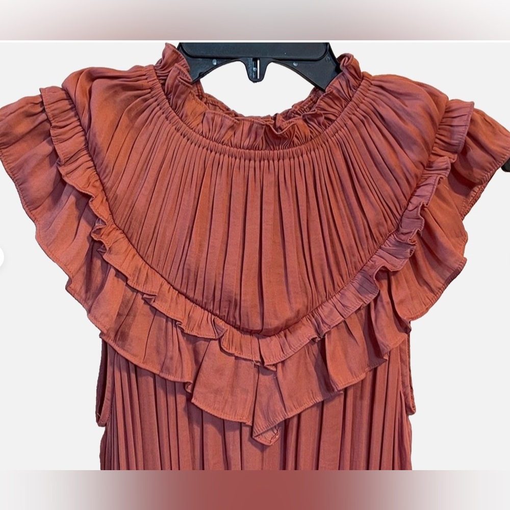 DO+BE Rust Ruffle Pleated Mini Dress - Picture 2 of 12